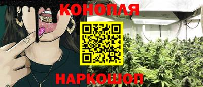 МДПВ Лесосибирск