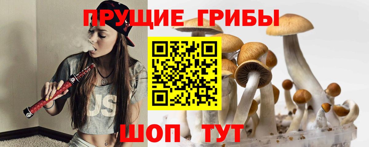 Галлюциногенные грибы MAGIC MUSHROOMS  наркошоп  Дмитров  Вход с VPN 